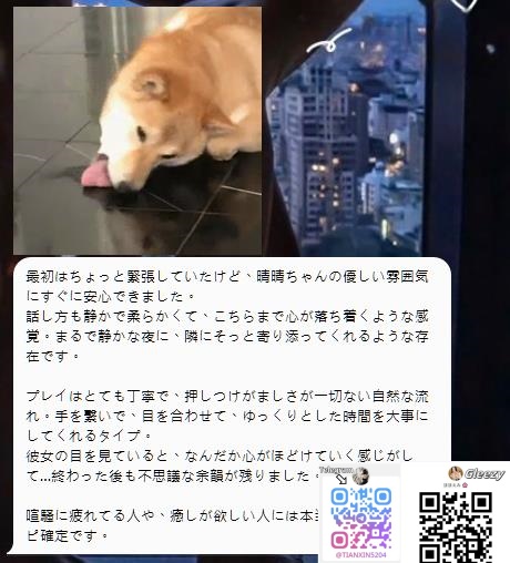 静けさに寄り添う癒し系…晴晴ちゃんの優しさに心ほどけた夜